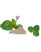 AyurNutri Poduthalai Churnam (Frogfruit Powder), 100g